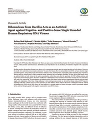 Ribonuclease from Bacillus acts as an antiviral agent against negative- and positive-sense single stranded human respiratory RNA viruses